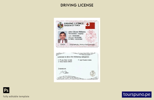 Plantilla de licencia de conducir de Tonga lista para imprimir